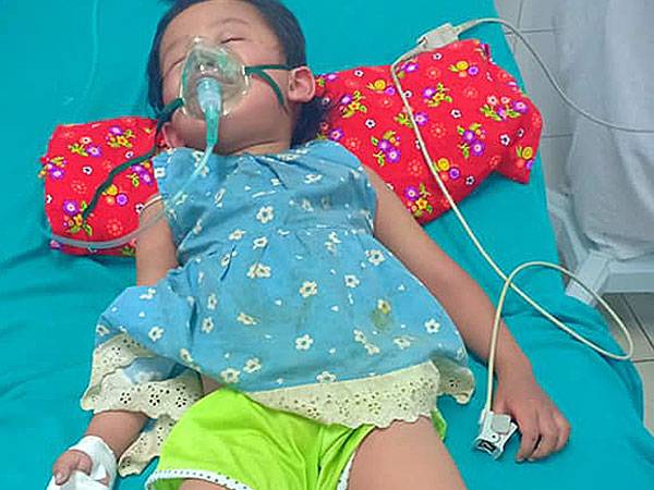 Em bé 3 tuổi ở Tuyên Quang sốc phản vệ sau 5 phút bị kiến đốt
