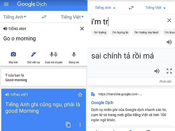 Viết sai chính tả, dân mạng Việt bị 'chị' Google mắng 'cục súc': 'Sai chính tả rồi, học tiếng Anh dốt'