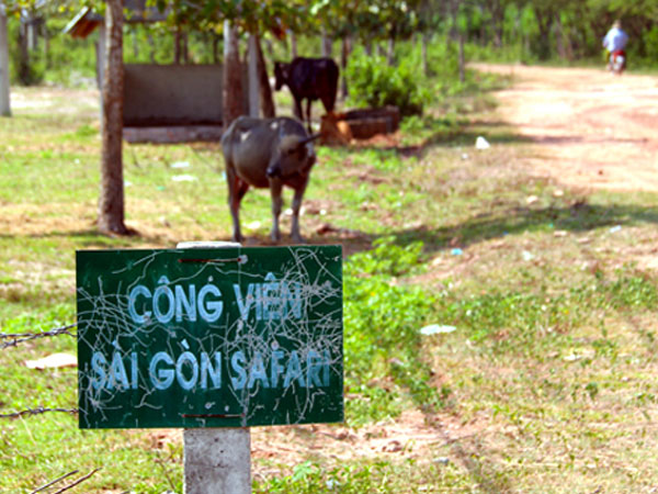 Dự án Sài Gòn Safari gây thất thoát hơn 100 tỷ đồng