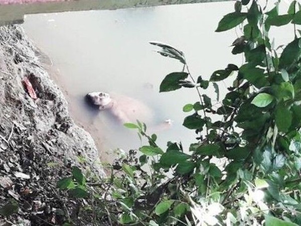 Thấy 'xác' trôi nổi trên sông, người dân gọi báo cảnh sát nhưng khi tới nơi ai cũng 'chạy mất dép'