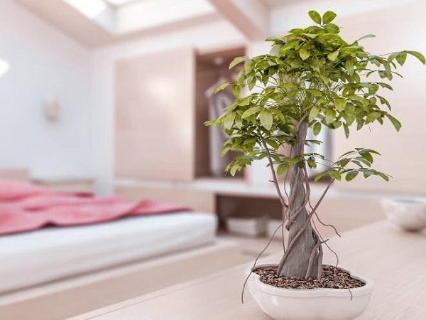 Về nhà sửa ngay 8 lỗi phong thủy này để gia đình đổi vận, mọi sự hanh thông, tiền tài rủng rỉnh