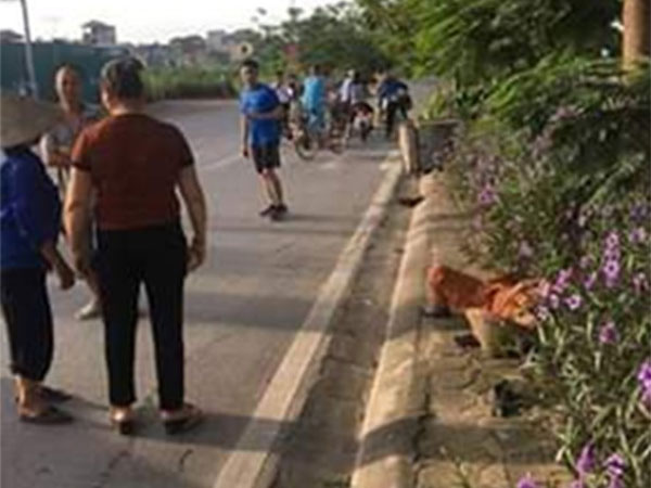 Hà Nội: Xe ô tô đâm nữ lao công rồi bỏ trốn, nạn nhân kịp viết lại biển số xe tố cáo thủ phạm trước khi tử vong?