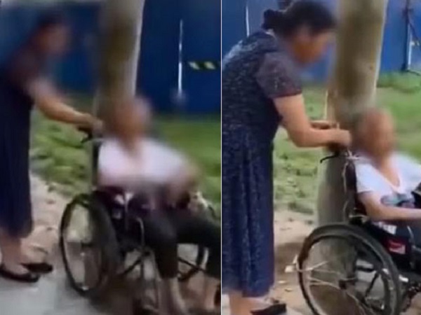Trói cụ già ngồi xe lăn vào gốc cây, thái độ của người giúp việc còn trơ trẽn hơn khi bị phát hiện