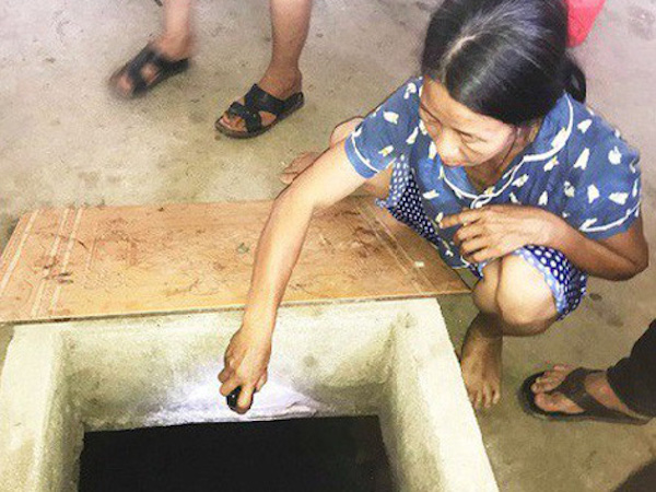 Dùng thuốc diệt cỏ đầu độc hàng xóm