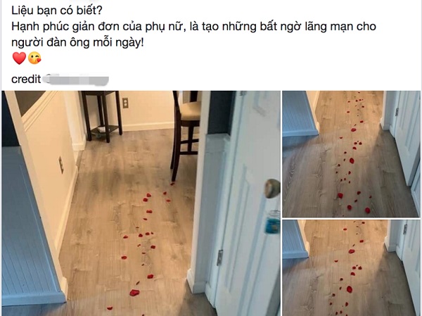 Theo dấu hoa hồng để nhận quà lãng mạn từ vợ, chồng không thốt nên lời khi nhìn thấy kết quả