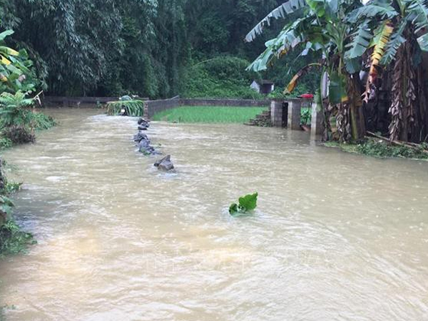 Mưa lớn ở Cao Bằng gây ngập hơn 900 ngôi nhà, 1.000 ha lúa và hoa màu