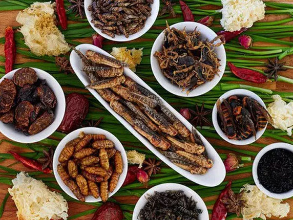Món ăn kỳ quái nhưng chống ung thư cực kỳ hiệu quả