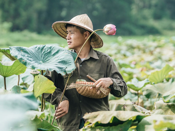 Cử nhân báo chí khởi nghiệp trà sen với 20 triệu mẹ dành mua xe máy: 'Con không thích đi làm, con muốn về nhà'