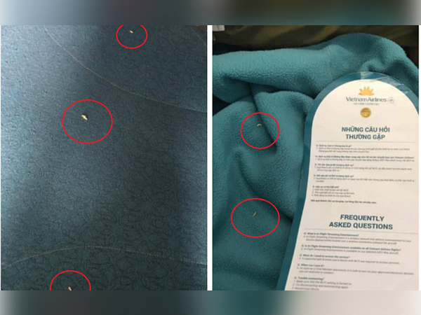 Vietnam Airlines thông tin về nghi vấn nhiều giòi trong chăn trên máy bay