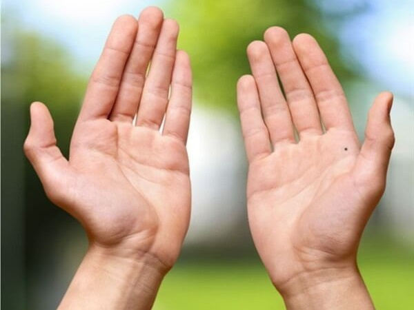 7 tướng tay báo hiệu số phận phụ nữ này sống sung sướng, giàu sang