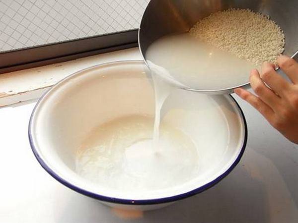 Vo gạo xong đổ ra vườn theo cách này, cây cối xanh rì, hoa tuôn như suối
