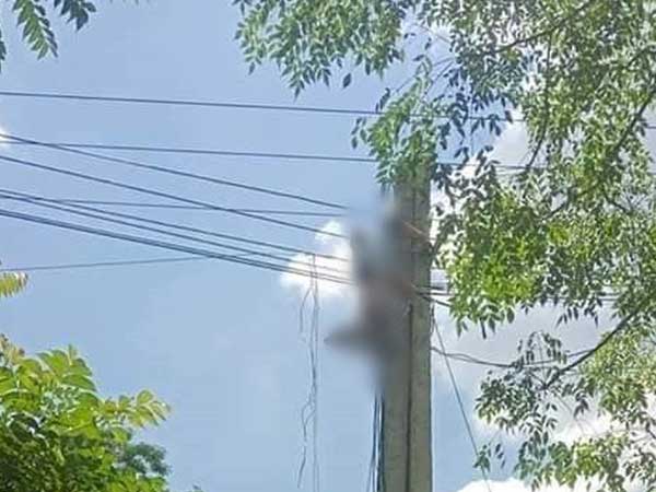 Kinh hoàng phát hiện người đàn ông bị điện giật, treo ngược trên cột điện