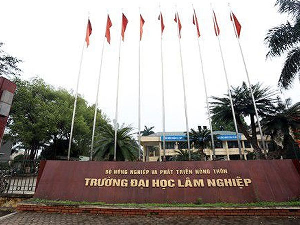 Bộ Giáo dục thanh tra 4 trường đại học