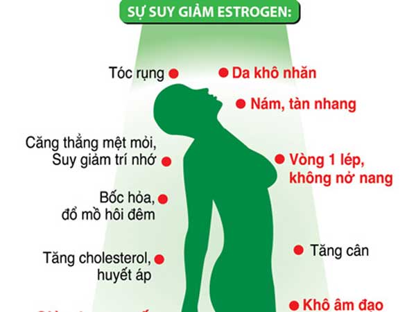 Estrogen giúp gì cho phụ nữ?