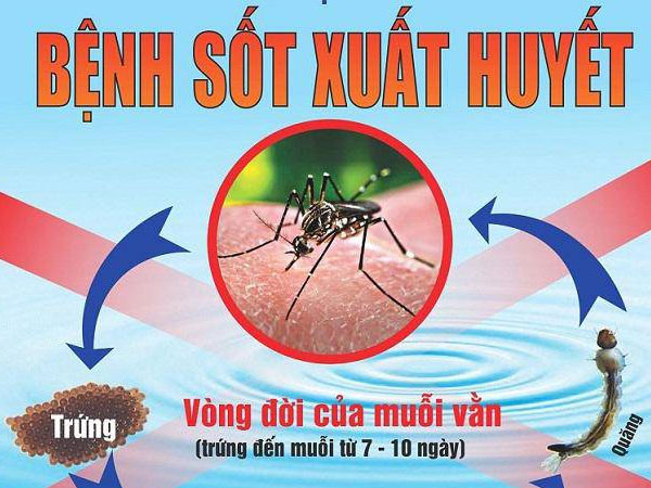 Hai bé Tây Nguyên qua đời vì sốt xuất huyết: Bác sĩ Nhi chỉ dấu hiệu nhận biết rõ nhất