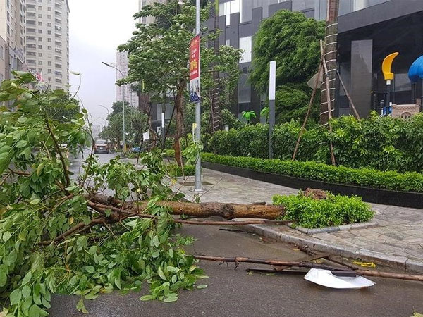 Gần 295.000 khách hàng bị cắt điện do bão số 3