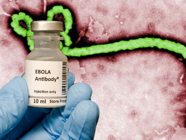 Đột phá: Các nhà khoa học tuyên bố đã chữa được Ebola