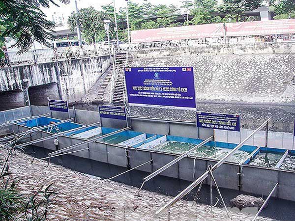 Làm sạch sông Tô Lịch: Chưa rõ kết quả, giá tiền công nghệ Nhật Bản