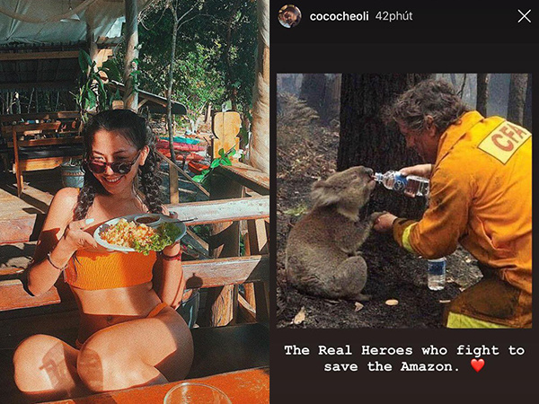 'Sao thị phi' liên tiếp chiếu thẳng girl xinh Cococheoli: Đăng story xót thương cháy rừng Amazon mà dùng lộn hình bên... Úc