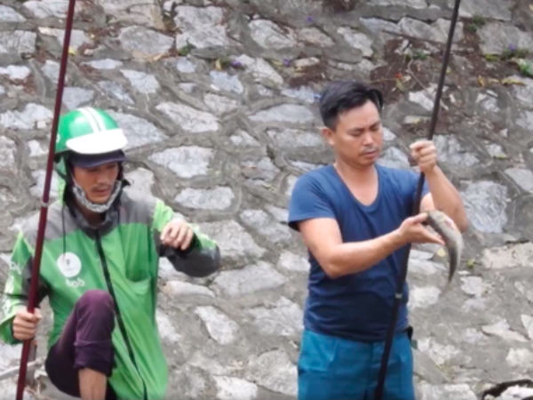 Clip: Nước sông Tô Lịch chuyển màu xanh biếc, người dân 'mở hội' buông cần câu cá