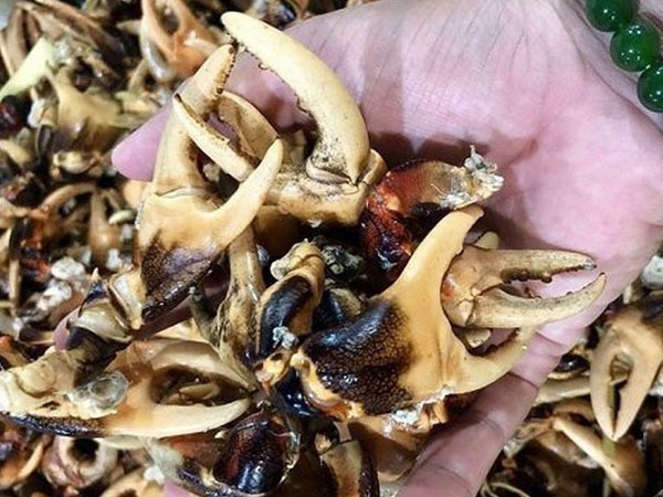 Thực hư giá càng cua đồng 500.000 đồng/kg đang hot rần rần, được cho là có tiền cũng khó mà mua được