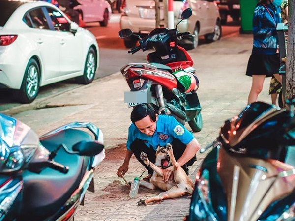 Hình ảnh bảo vệ và hành động đùa giỡn cùng chú chó bên vỉa hè nhưng câu chuyện phía sau càng khiến người nghe xúc động