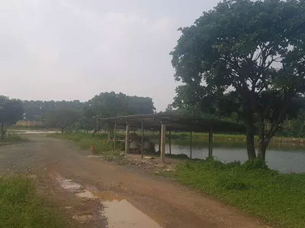 Hà Nội cũng dễ có cơn địa chấn 'tay không bắt giặc' kiểu Alibaba