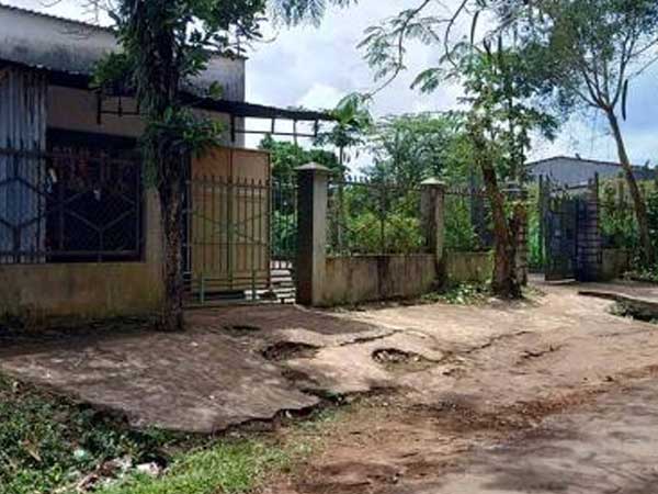Cách sống giời biển của 3 anh em Nguyễn Thái Luyện