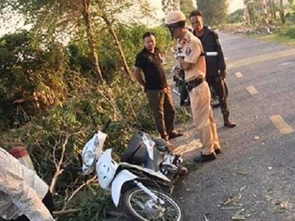 Bị cây bạch đàn đè trúng, một nữ sinh Hải Dương thiệt mạng
