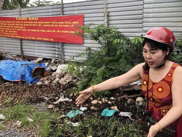 Vạch mặt nhiều công ty bán dự án 'ma' như Alibaba