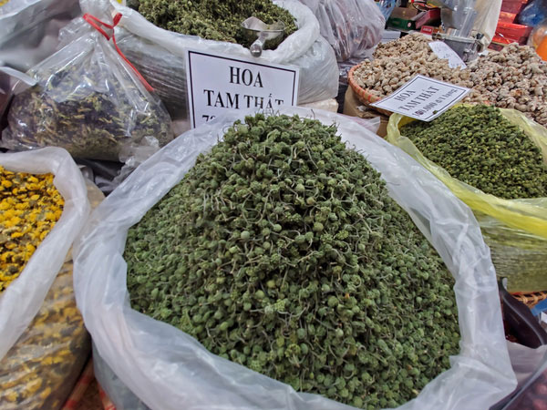 Hoa tam thất hàng hiếm rao giá bạc triệu vẫn được săn đón