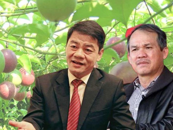 Bầu Đức chính thức chia tay lĩnh vực từng đưa ông lên đỉnh cao