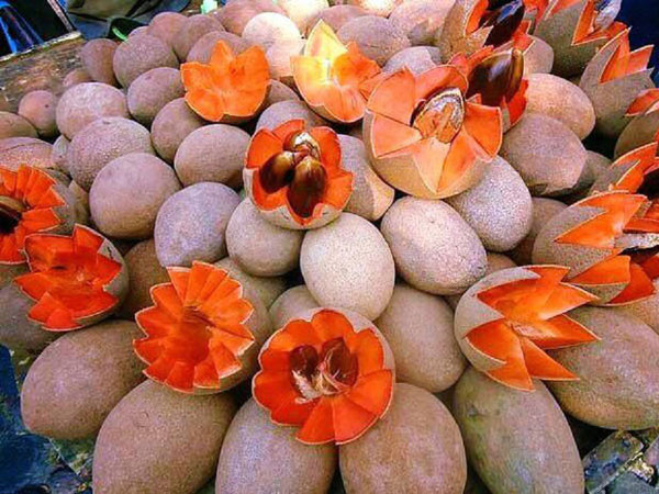 Giống hồng xiêm ruột đỏ 'khổng lồ' lại gây sốt cộng đồng mạng