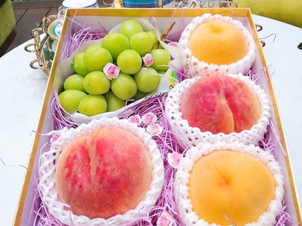 Đào tiên Nhật Bản có giá gần 1 triệu/cặp hút giới nhà giàu Việt