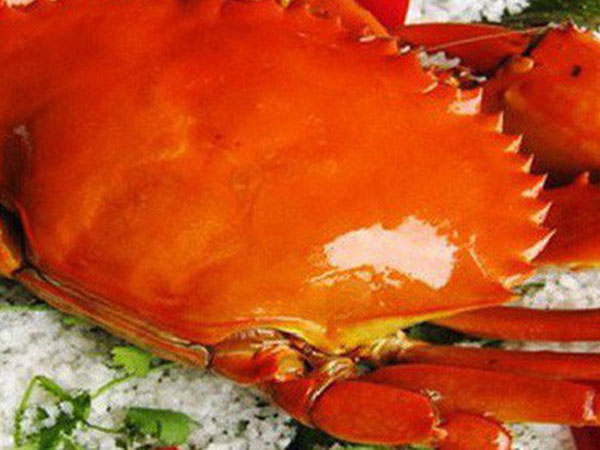Cua biển xuất sang Trung Quốc giá chỉ còn 46.000 đồng/kg