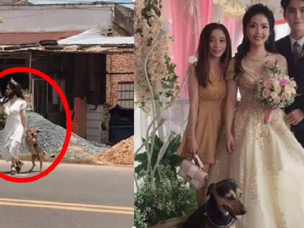 Cô dâu vội vã chạy sang đường để lôi cún cưng về nhà chụp cùng trong đám cưới