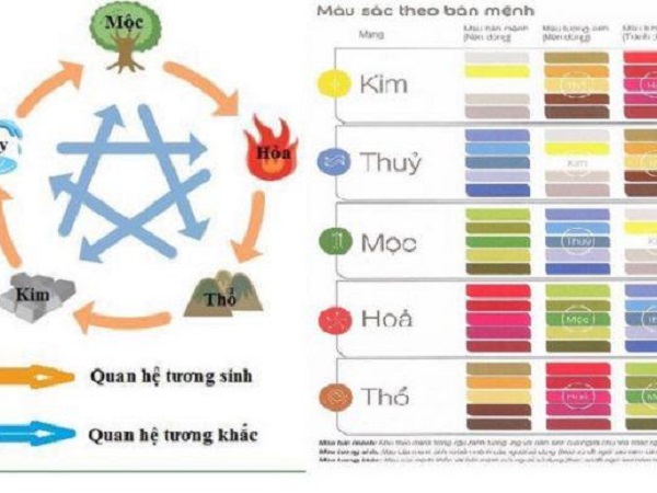 Người mệnh Mộc hợp màu gì giúp làm ăn hanh thông, sự nghiệp thăng tiến?
