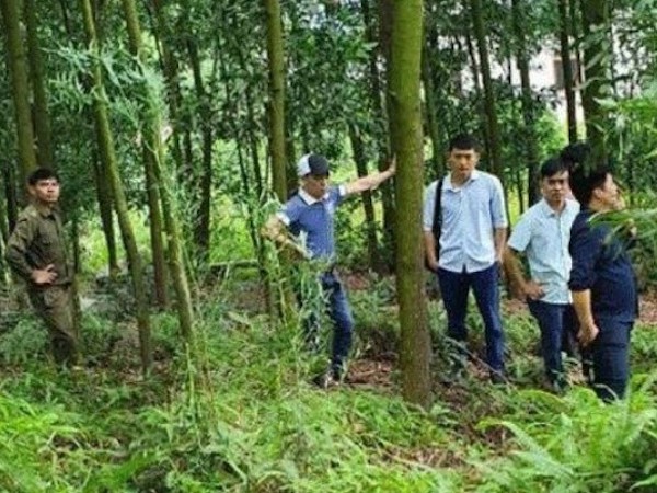 Phát hiện phó chủ tịch xã tử vong trên một chiếc chiếu ở quả đồi sau nhà