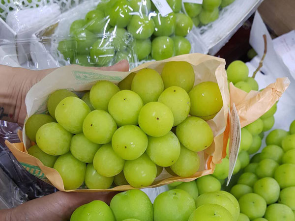 Nho mẫu đơn Nhật Bản có giá 'rẻ như cho' tại Việt Nam