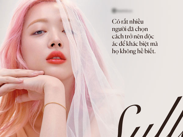 'Cô ta là một kẻ điên sao?': Từ những bình luận chỉ mất 5 giây để gõ cho đến làn sóng ghét bỏ vô cớ gián tiếp giết chết Sulli