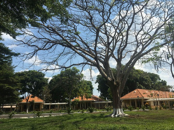 Tiếng Sét Trong Mưa lại lộ tình tiết: Lũ chưa chết mà biến hình thành 'ông Bụt'?