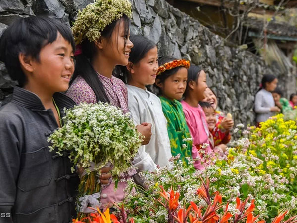 Hoa tam giác mạch nở rộ trên lối vào 'nhà của Pao'