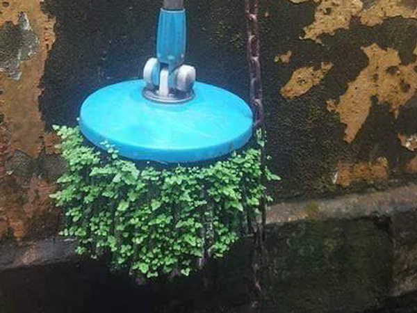 Ảnh bìa bài viết 649462