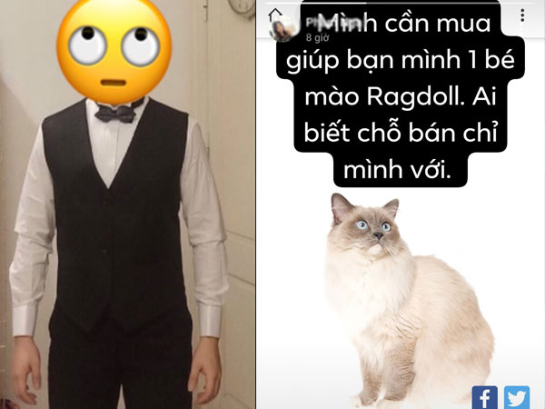 Cô gái trong chuyện hỏi mua mèo nhưng bị thanh niên vặn vẹo lên tiếng: 'Không biết bạn đó là ai, nổi tiếng cỡ nào'
