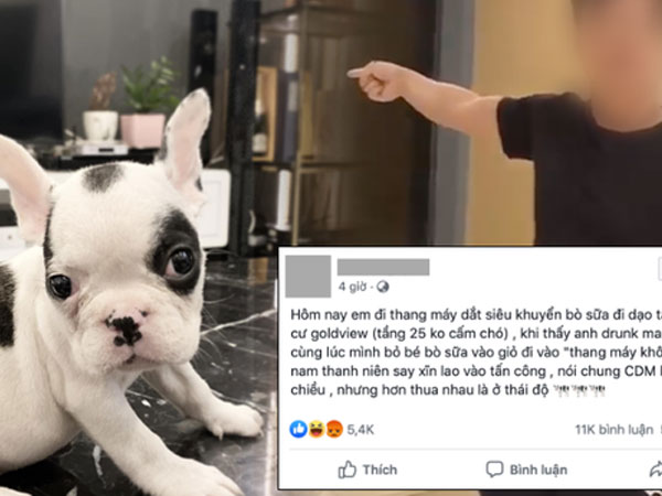Đôi nam nữ bị người đàn ông ngăn cản dắt chó cưng trong chung cư cao cấp ở Sài Gòn và màn tranh cãi cực 'căng' của dân mạng
