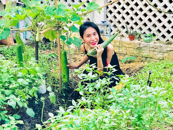 Khu vườn đủ thứ rau quả sạch trong biệt thự của Công Vinh - Thủy Tiên