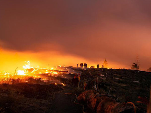 Cháy rừng tại California: 180.000 người tiếp tục được lệnh sơ tán