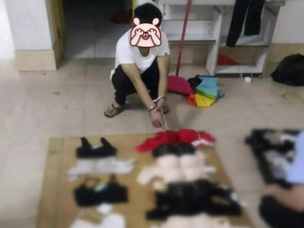 Tên biến thái trộm hơn 200 bộ nội y để dành mặc mỗi khi rảnh rỗi