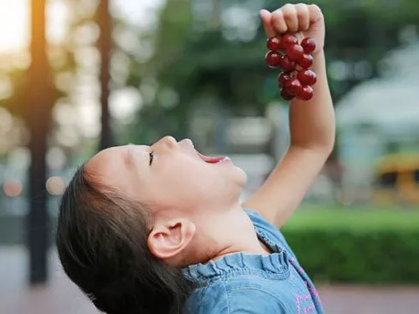 8 loại trái cây và rau củ màu tím mà bạn nên ăn hàng ngày
