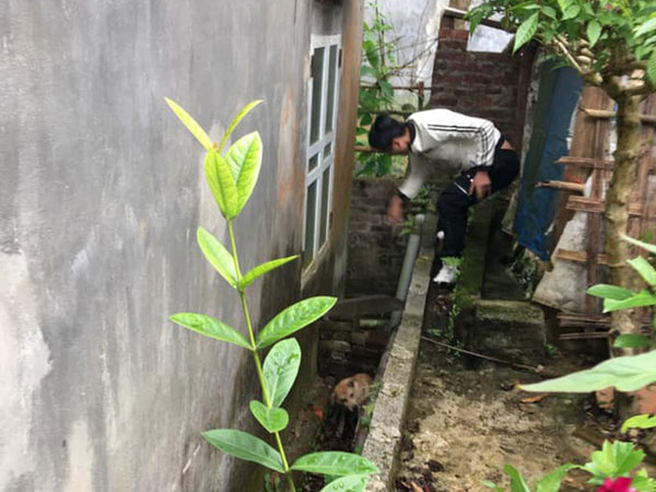 Nam thanh niên lái xe đâm phải chó bị xây xước nhẹ nhưng vẫn nổi máu nhẫn tâm đánh chết chú chó